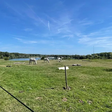 Paris Disneyland Centre-ville, Parking, Au Coeur De L'aviron Vaires-sur-Marne